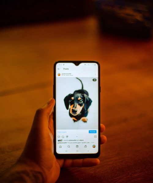 Photo de Gustavo Scafeli: https://www.pexels.com/fr-fr/photo/33177878/