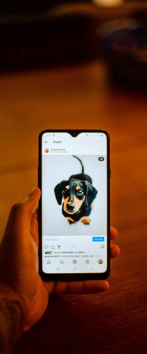 Photo de Gustavo Scafeli: https://www.pexels.com/fr-fr/photo/33177878/